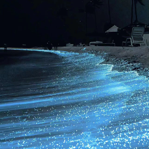 休内谢精一汇编五原文
