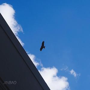 休内谢精一汇编五原文
